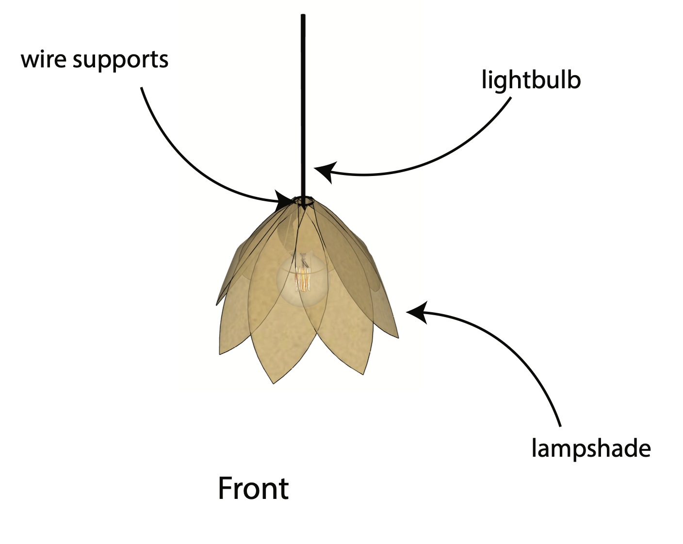 Flower lamp — front label